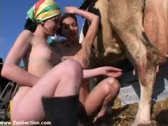 Two naked babes sharing a big horse dick
